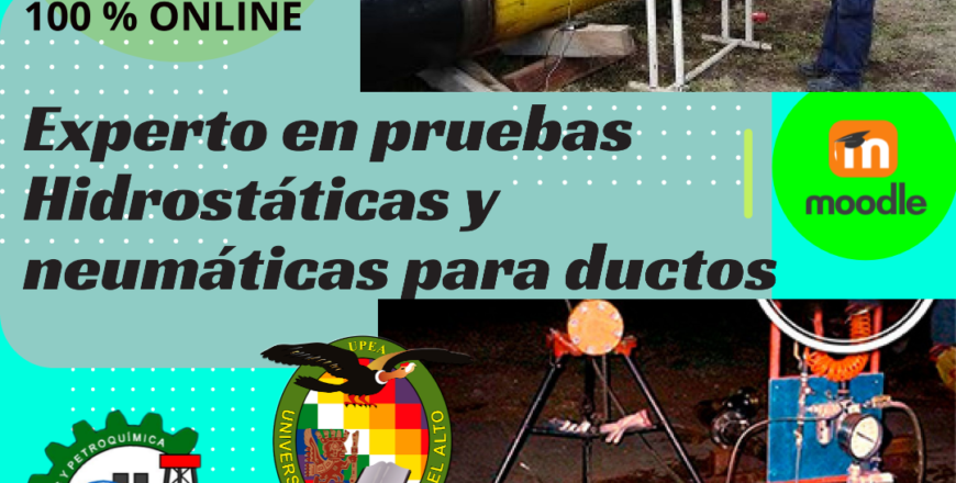 (COPY) (COPY) Publicación de Facebook 940x788 px - Dimensiones personalizadas.png
